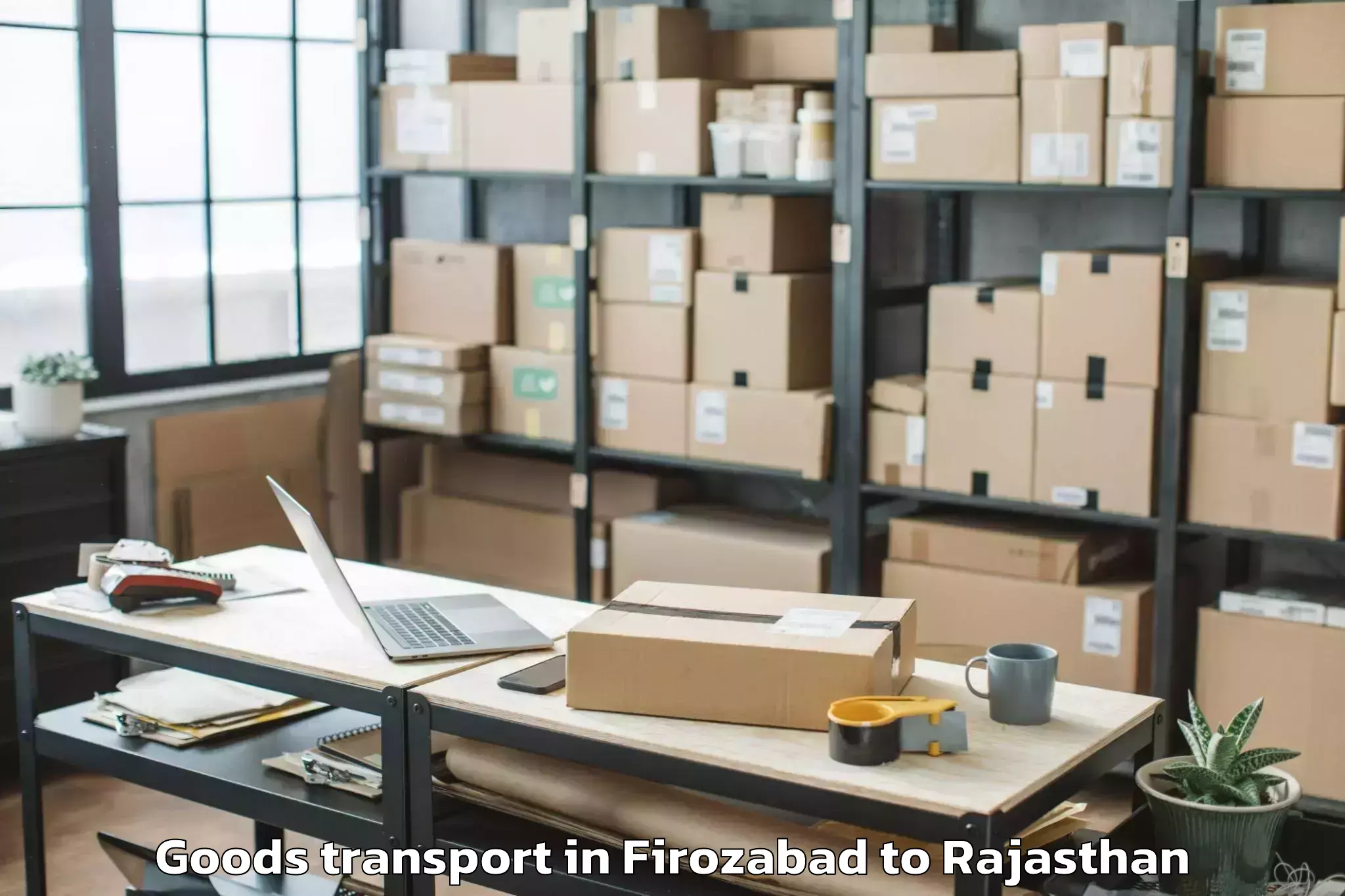 Quality Firozabad to Chhoti Sadri Goods Transport